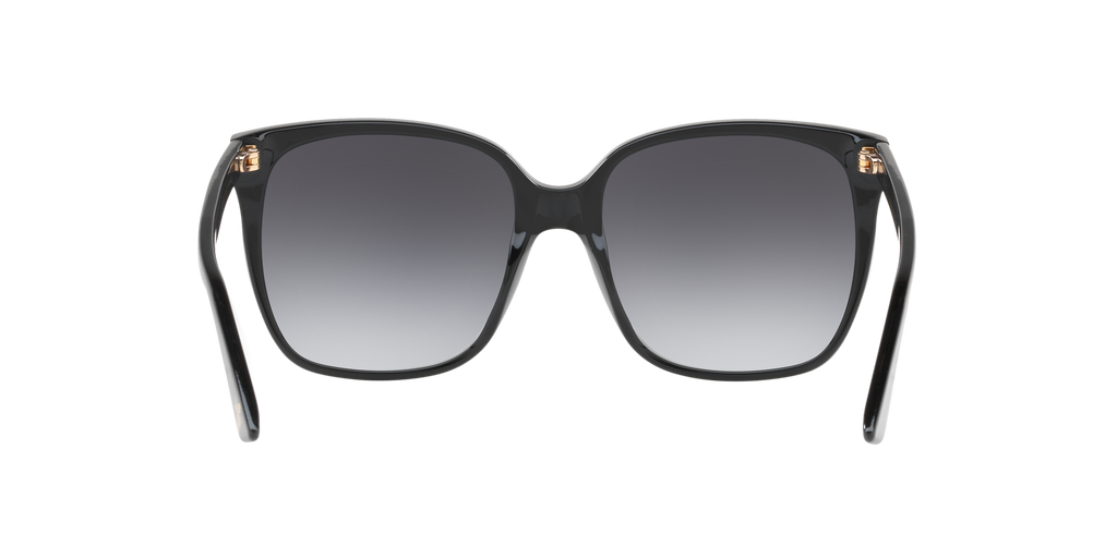 Gucci GG0022S Cat Eye Sunglasses