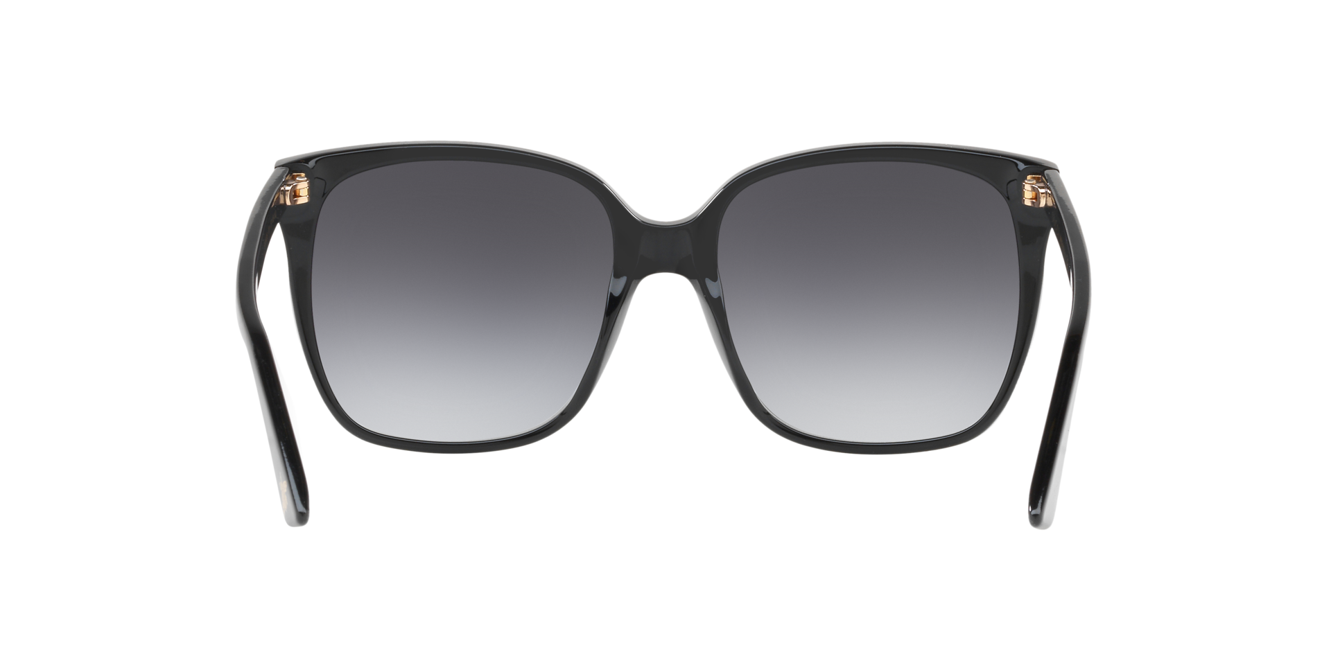 Gucci GG0022S Cat Eye Sunglasses