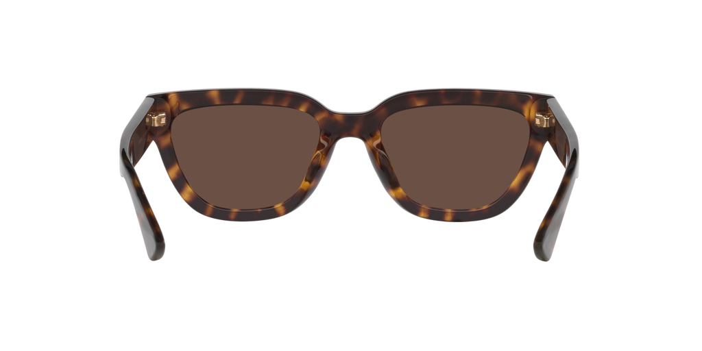 Gucci GG1578S Cat Eye Sunglasses - Tortoise
